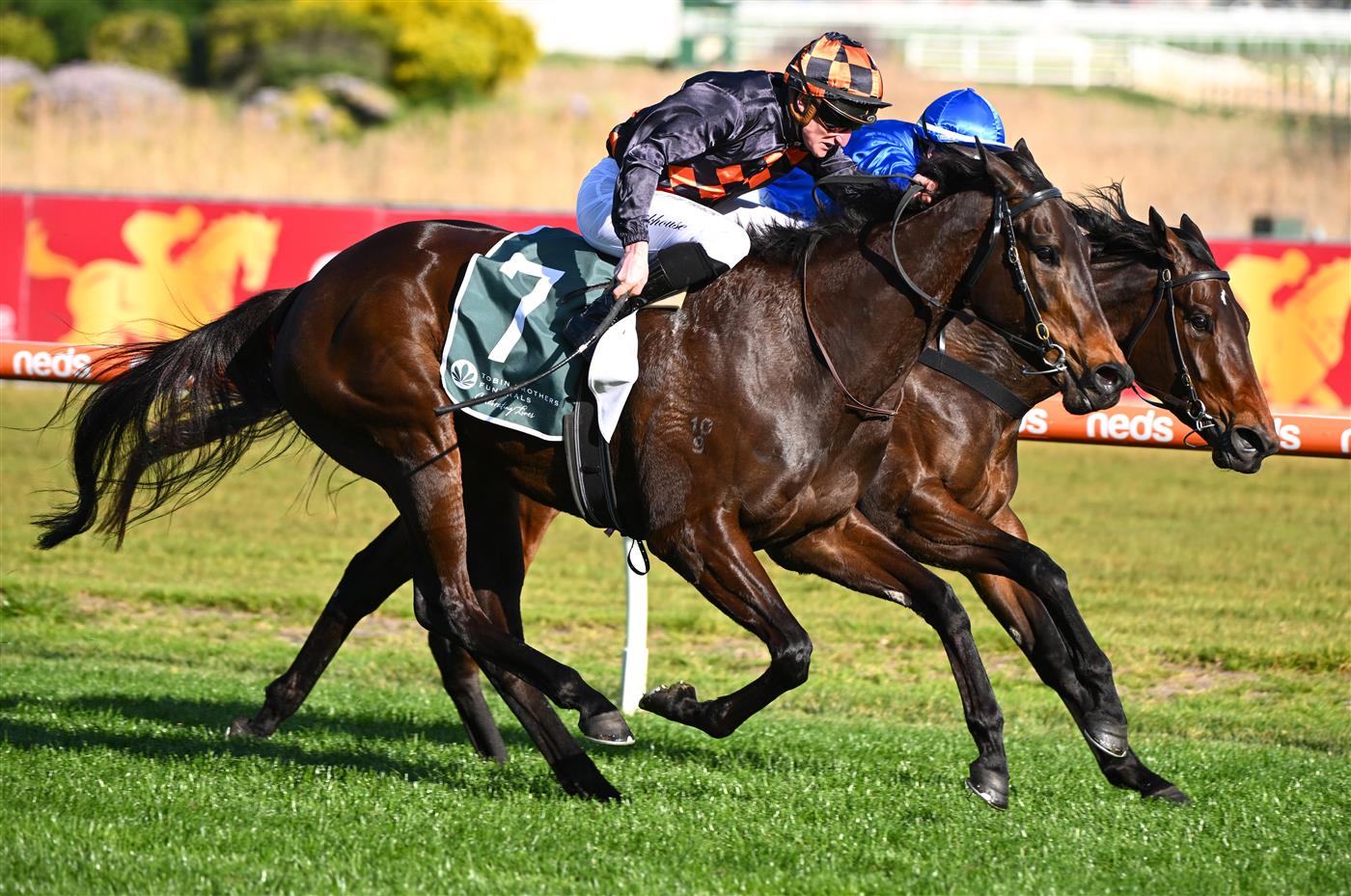MELBOURNE, AUSTRALIA - SEPTEMBER 02: Daniel Stackhouse riding Benedetta winning Race 7, the Tobin Brothers Cockram Stakes,  during Melbourne Racing at Caulfield Racecourse on September 02, 2023 in Melbourne, Australia. (Photo by Vince Caligiuri/Getty Images)