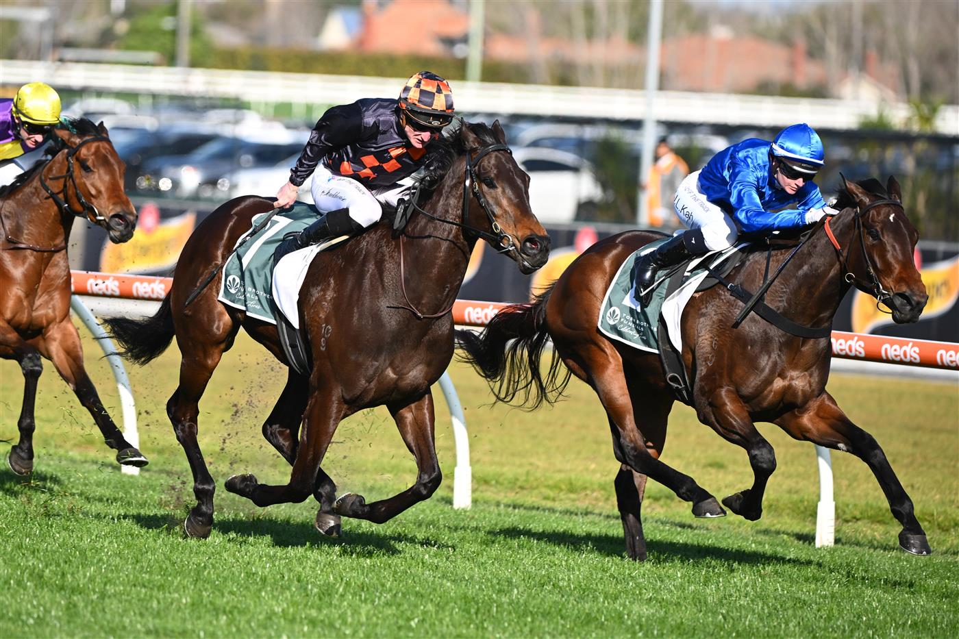 MELBOURNE, AUSTRALIA - SEPTEMBER 02: Daniel Stackhouse riding Benedetta winning Race 7, the Tobin Brothers Cockram Stakes,  during Melbourne Racing at Caulfield Racecourse on September 02, 2023 in Melbourne, Australia. (Photo by Vince Caligiuri/Getty Images)