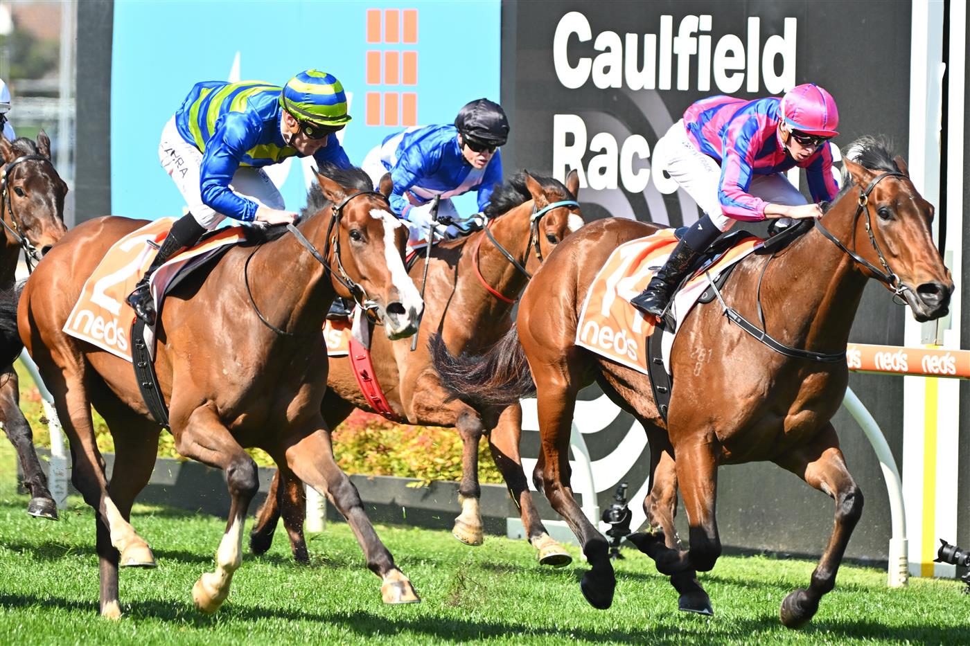 MELBOURNE, AUSTRALIA - SEPTEMBER 02: Michael Dee riding Rheinberg defeats Chorlton Lane (L) in Race 2, the Changing Places Real Estate Handicap,  during Melbourne Racing at Caulfield Racecourse on September 02, 2023 in Melbourne, Australia. (Photo by Vince Caligiuri/Getty Images)