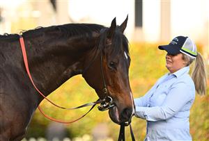 MELBOURNE, AUSTRALIA - SEPTEMBER 02: Asfoora after winning Race 8, the The Mccafe 1100 Stakes,   during Melbourne Racing at Caulfield Racecourse on September 02, 2023 in Melbourne, Australia. (Photo by Vince Caligiuri/Getty Images)