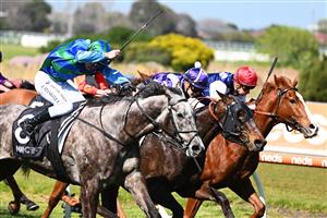 MELBOURNE, AUSTRALIA - SEPTEMBER 02: Jason Maskiell riding Seb Song winning Race 1, the Mrc Foundation Caulfield Handicap,  during Melbourne Racing at Caulfield Racecourse on September 02, 2023 in Melbourne, Australia. (Photo by Vince Caligiuri/Getty Images)