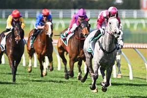 MELBOURNE, AUSTRALIA - SEPTEMBER 02: Tatum Bull riding Frigid winning Race 4, the Evergreen Turf Handicap,  during Melbourne Racing at Caulfield Racecourse on September 02, 2023 in Melbourne, Australia. (Photo by Vince Caligiuri/Getty Images)