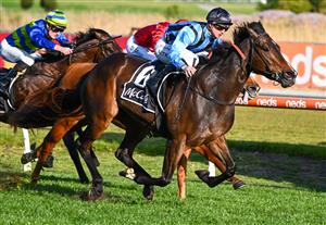 MELBOURNE, AUSTRALIA - SEPTEMBER 02: Mitchell Aitken riding Asfoora winning Race 8, the The Mccafe 1100 Stakes,   during Melbourne Racing at Caulfield Racecourse on September 02, 2023 in Melbourne, Australia. (Photo by Vince Caligiuri/Getty Images)