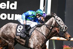 MELBOURNE, AUSTRALIA - SEPTEMBER 02: Jason Maskiell riding Seb Song winning Race 1, the Mrc Foundation Caulfield Handicap,  during Melbourne Racing at Caulfield Racecourse on September 02, 2023 in Melbourne, Australia. (Photo by Vince Caligiuri/Getty Images)