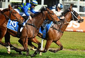MELBOURNE, AUSTRALIA - SEPTEMBER 02: Blake Shinn riding Soulcombe defeats Carleen Hefel riding Flash Flood in Race 6, the Tile Importer Heatherlie Stakes, winning Race 7, the Tobin Brothers Cockram Stakes,  during Melbourne Racing at Caulfield Racecourse on September 02, 2023 in Melbourne, Australia. (Photo by Vince Caligiuri/Getty Images)