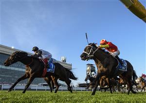 MELBOURNE, AUSTRALIA - SEPTEMBER 02: Craig Williams riding Mr Brightside defeats Blake Shinn riding Princess Grace (r) in Race 9, the Stow Storage Memsie Stakes, during Melbourne Racing at Caulfield Racecourse on September 02, 2023 in Melbourne, Australia. (Photo by Vince Caligiuri/Getty Images)