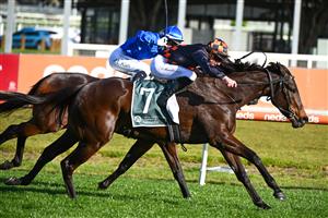 MELBOURNE, AUSTRALIA - SEPTEMBER 02: Daniel Stackhouse riding Benedetta winning Race 7, the Tobin Brothers Cockram Stakes,  during Melbourne Racing at Caulfield Racecourse on September 02, 2023 in Melbourne, Australia. (Photo by Vince Caligiuri/Getty Images)