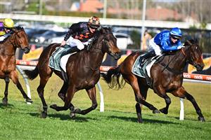 MELBOURNE, AUSTRALIA - SEPTEMBER 02: Daniel Stackhouse riding Benedetta winning Race 7, the Tobin Brothers Cockram Stakes,  during Melbourne Racing at Caulfield Racecourse on September 02, 2023 in Melbourne, Australia. (Photo by Vince Caligiuri/Getty Images)