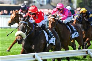 MELBOURNE, AUSTRALIA - SEPTEMBER 02: Jamie Kah riding Nunthorpe winning Race 3, the Fierce Impact - Pedigree Performance, during Melbourne Racing at Caulfield Racecourse on September 02, 2023 in Melbourne, Australia. (Photo by Vince Caligiuri/Getty Images)