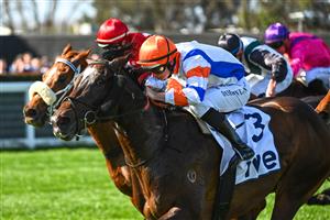 MELBOURNE, AUSTRALIA - SEPTEMBER 02: Damian Lane riding Veight defeats Jamie Kah riding Lagacies in Race 5, the Ive Mcneil Stakes,   during Melbourne Racing at Caulfield Racecourse on September 02, 2023 in Melbourne, Australia. (Photo by Vince Caligiuri/Getty Images)