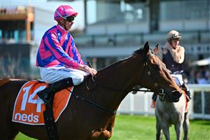 MELBOURNE, AUSTRALIA - SEPTEMBER 02: Michael Dee riding Rheinberg winning Race 2, the Changing Places Real Estate Handicap,  during Melbourne Racing at Caulfield Racecourse on September 02, 2023 in Melbourne, Australia. (Photo by Vince Caligiuri/Getty Images)