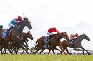 Goulburn Tips for 08.09.2023