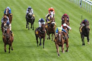 sprint cup haydock