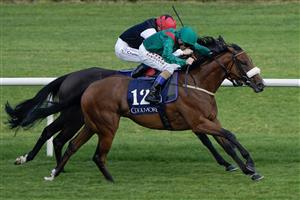 DUBLIN, IRELAND - SEPTEMBER 09: Chris Hayes riding Tahiyra (green) win The Coolmore America