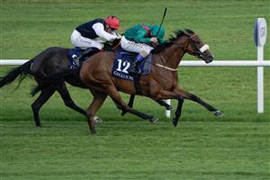 DUBLIN, IRELAND - SEPTEMBER 09: Chris Hayes riding Tahiyra (green) win The Coolmore America
