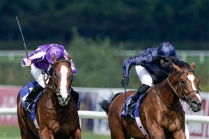DUBLIN, IRELAND - SEPTEMBER 09: Ryan Moore riding Diego Velazquez (purple/white) win The KPMG Champions Juvenile Stakes from Seamie Heffernan and Capulet (dark blue) at Leopardstown Racecourse on September 09, 2023 in Dublin, Ireland. (Photo by Alan Crowhurst/Getty Images)