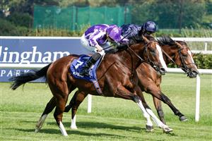 DUBLIN, IRELAND - SEPTEMBER 09: Ryan Moore riding Diego Velazquez (purple/white) win The KPMG Champions Juvenile Stakes from Seamie Heffernan and Capulet (dark blue) at Leopardstown Racecourse on September 09, 2023 in Dublin, Ireland. (Photo by Alan Crowhurst/Getty Images)