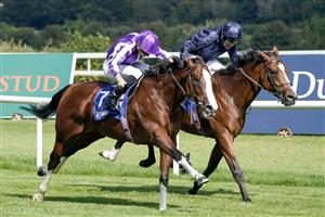 DUBLIN, IRELAND - SEPTEMBER 09: Ryan Moore riding Diego Velazquez (purple/white) win The KPMG Champions Juvenile Stakes from Seamie Heffernan and Capulet (dark blue) at Leopardstown Racecourse on September 09, 2023 in Dublin, Ireland. (Photo by Alan Crowhurst/Getty Images)