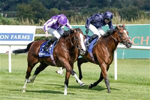 DUBLIN, IRELAND - SEPTEMBER 09: Ryan Moore riding Diego Velazquez (purple/white) win The KPMG Champions Juvenile Stakes from Seamie Heffernan and Capulet (dark blue) at Leopardstown Racecourse on September 09, 2023 in Dublin, Ireland. (Photo by Alan Crowhurst/Getty Images)