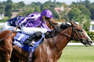 DUBLIN, IRELAND - SEPTEMBER 09: Ryan Moore riding Diego Velazquez (purple/white) win The KPMG Champions Juvenile Stakes from Seamie Heffernan and Capulet (dark blue) at Leopardstown Racecourse on September 09, 2023 in Dublin, Ireland. (Photo by Alan Crowhurst/Getty Images)