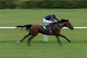 DUBLIN, IRELAND - SEPTEMBER 09: Ryan Moore riding Adelaide River win The Paddy Power Stakes at Leopardstown Racecourse on September 09, 2023 in Dublin, Ireland. (Photo by Alan Crowhurst/Getty Images)