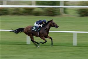 DUBLIN, IRELAND - SEPTEMBER 09: Ryan Moore riding Adelaide River win The Paddy Power Stakes at Leopardstown Racecourse on September 09, 2023 in Dublin, Ireland. (Photo by Alan Crowhurst/Getty Images)