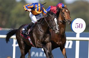 leopardstown