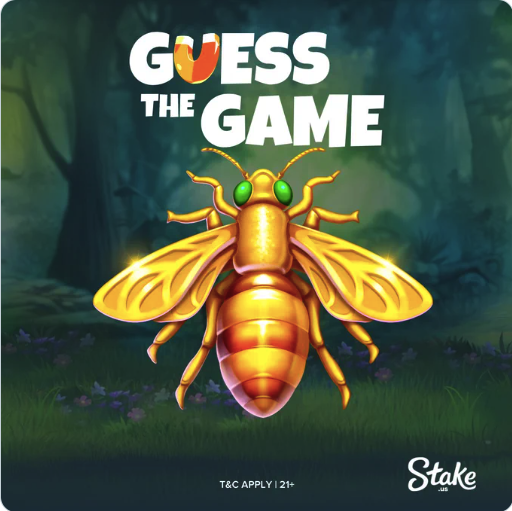 Stake.us---Guess-the-Game-5