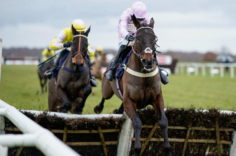 Horses To Follow - 20 jumpers to track in 2023/24