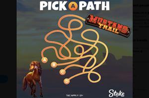 Stake.us Pick a Path