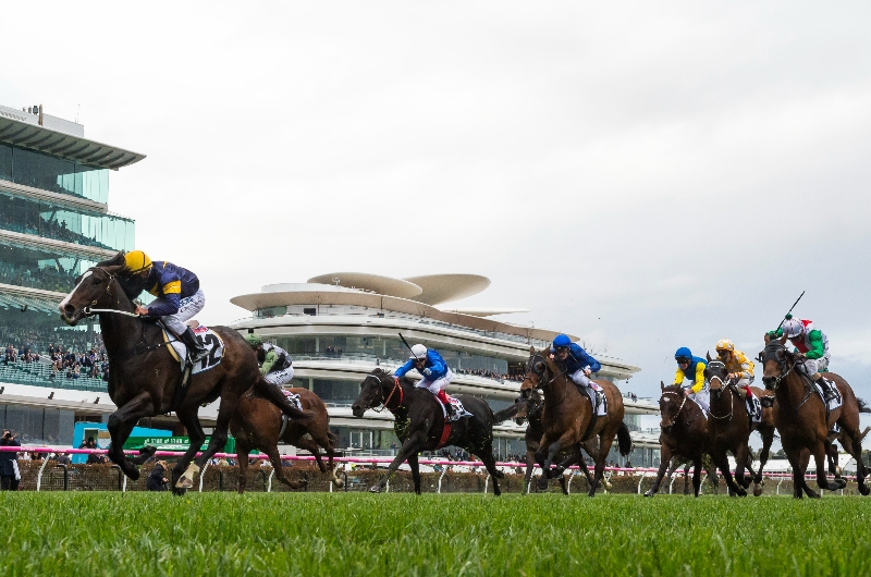 Flemington Betting Tips for September 16, 2023 RaceByRace preview