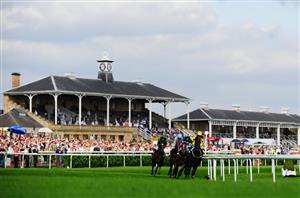 doncaster cup horse