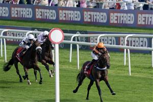 DONCASTER, ENGLAND - SEPTEMBER 15: Lewis Edmunds riding Dancing Gemini (orange) win The Betfred Flying Scotsman Stakes at Doncaster Racecourse on September 15, 2023 in Doncaster, England. (Photo by Alan Crowhurst/Getty Images)