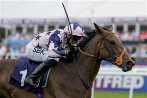 DONCASTER, ENGLAND - SEPTEMBER 15: Sean Levey riding Circe win The Coopers Marquees EBF Maiden Fillies