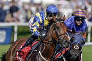 DONCASTER, ENGLAND - SEPTEMBER 15: Hollie Doyle riding Trueshan (blue/yellow) on their way to winning The Betfred Doncaster Cup Stakes at Doncaster Racecourse on September 15, 2023 in Doncaster, England. (Photo by Alan Crowhurst/Getty Images)