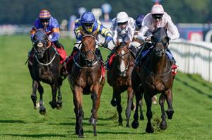 Doncaster Cup day at Doncaster (Pictures and Results)