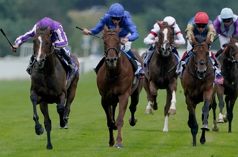 continuous york