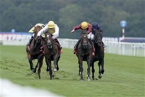 DONCASTER, ENGLAND - SEPTEMBER 16: Tom Marquand riding Iberian (maroon/yellow cap) win The Betfred Champagne Stakes at Doncaster Racecourse on September 16, 2023 in Doncaster, England. (Photo by Alan Crowhurst/Getty Images)