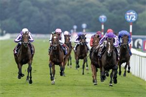 DONCASTER, ENGLAND - SEPTEMBER 16: Ryan Moore riding Continuous (purple/white) win The Betfred St Leger Stakes at Doncaster Racecourse on September 16, 2023 in Doncaster, England. (Photo by Alan Crowhurst/Getty Images)