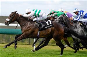 sandrine stakes