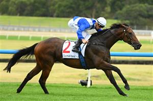 Underwood Stakes Betting Odds - Without A Fight favoured fresh