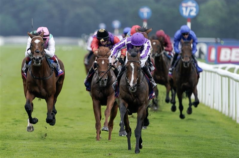 Ryan Moore - Jockey