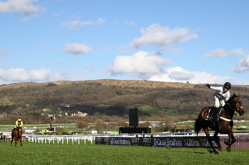 Champion Hurdle Odds and Entries