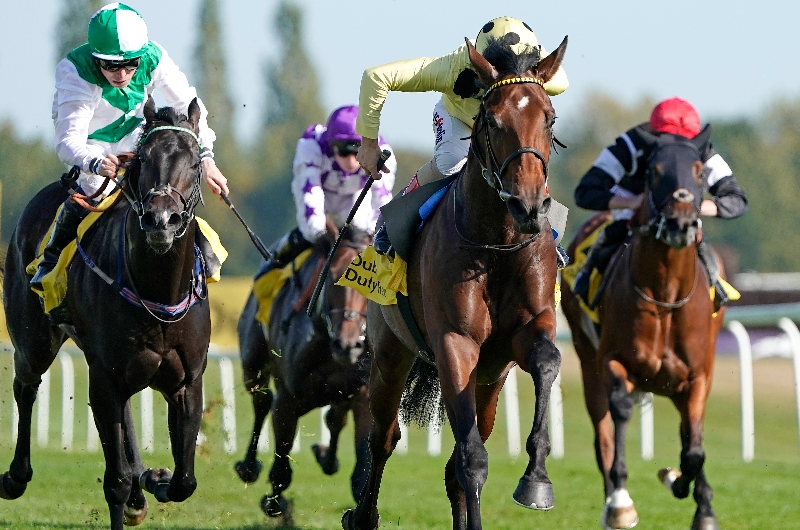 mill reef stakes
