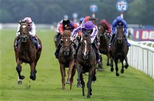 Ryan Moore - Jockey