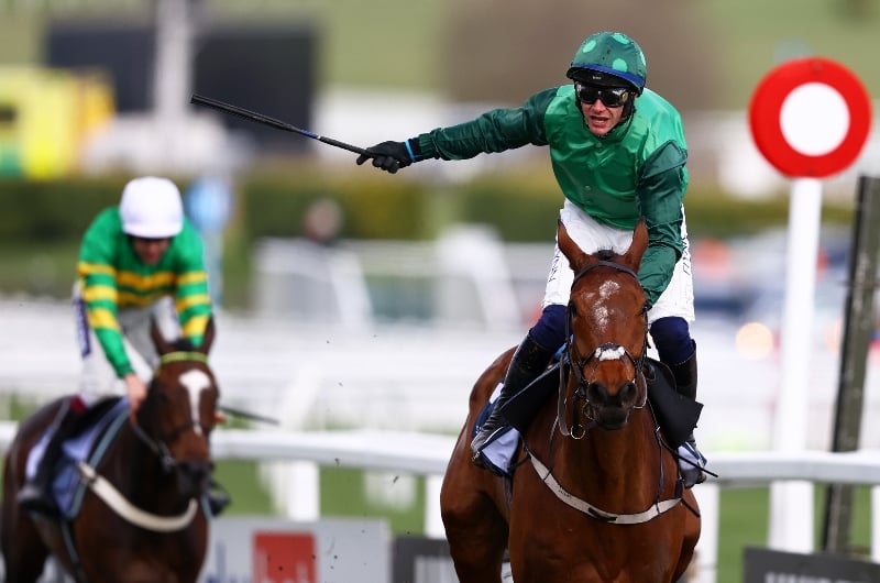 Champion Chase 2024 Tips - Pre-season guide and preview