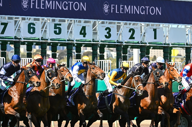 2023 Melbourne Cup Odds - Vauban the hot favourite at Flemington