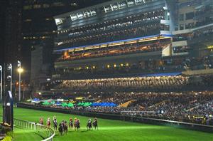 Happy Valley Tips on September 20th - Shades is the correct Code