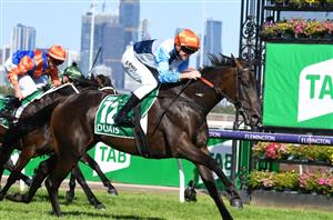 Underwood Stakes 2023 Barrier Draw & Final Field