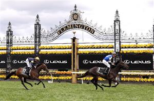 melbourne cup gold trip